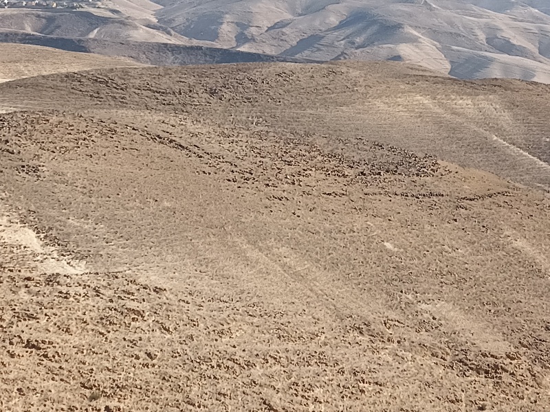קובץ:2022-05-19T07 48 12.888790819474.jpg