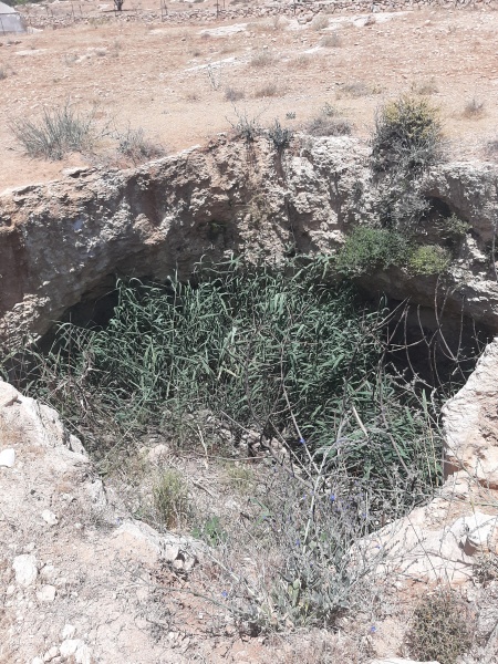 קובץ:2022-05-25T12 25 31.855823853854.jpg