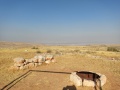 תמונה ממוזערת לגרסה מתאריך 14:11, 3 ביוני 2022