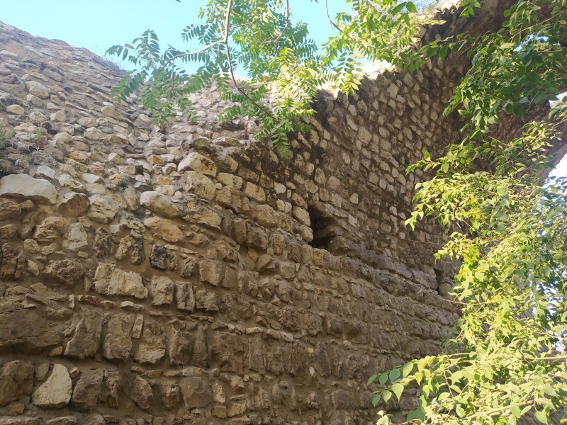 קובץ:2022-06-06T18 48 09.225472347612.jpg