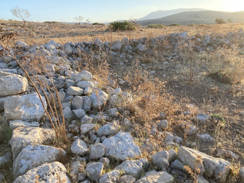 קובץ:2022-06-13T19 22 43.338974478686.jpg