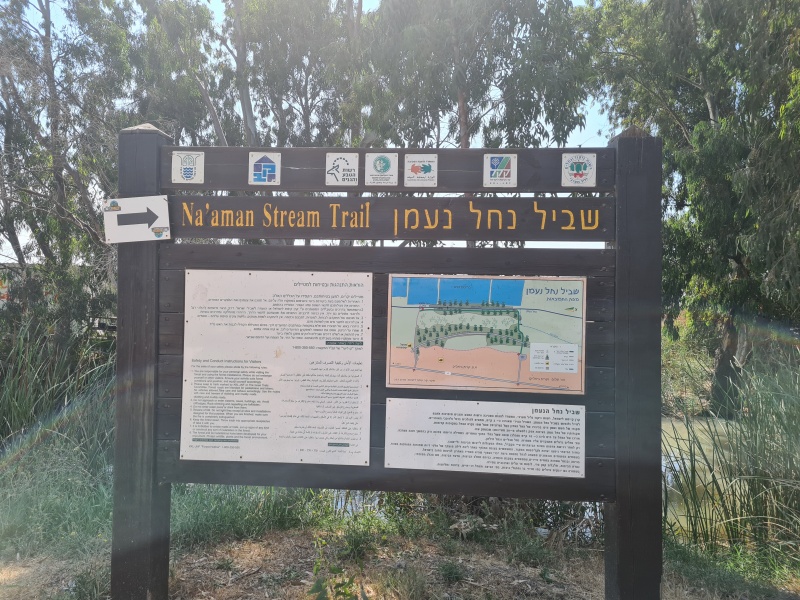 קובץ:2022-06-18T10 04 17.701558469828.jpg