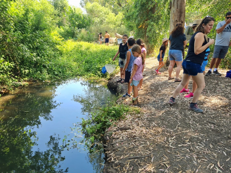 קובץ:2022-06-19T22 30 19.270552498671.jpg