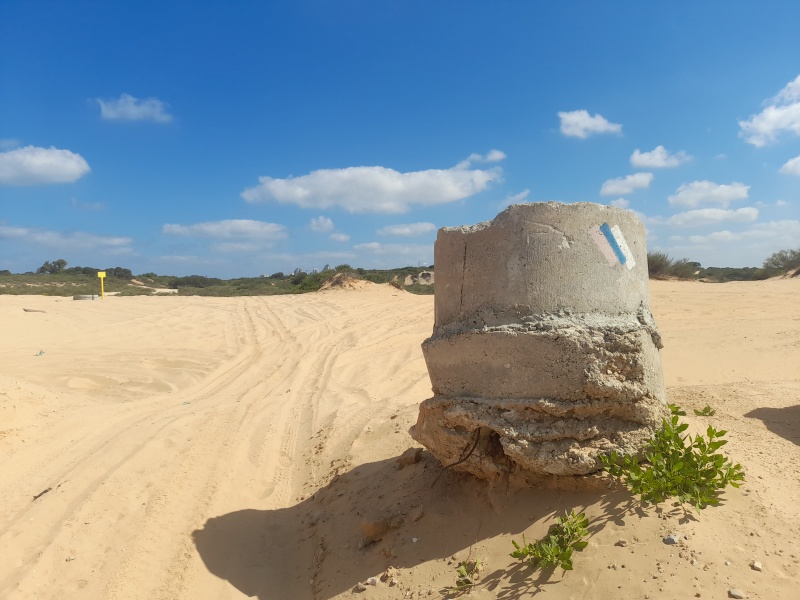 קובץ:2022-06-20T09 44 02.909121105591.jpg