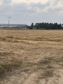 תמונה ממוזערת לגרסה מתאריך 16:37, 22 ביוני 2022