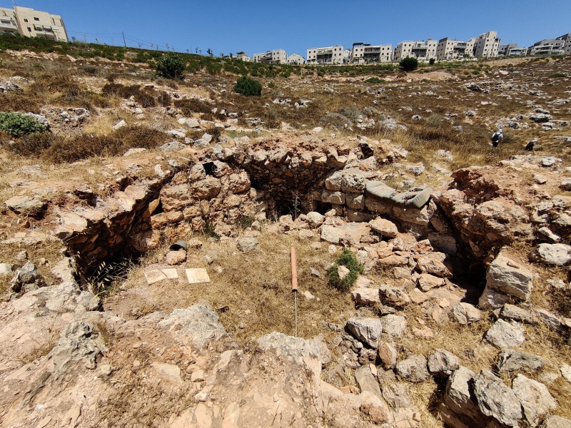 קובץ:2022-07-08T11 44 53.32163224460.jpg