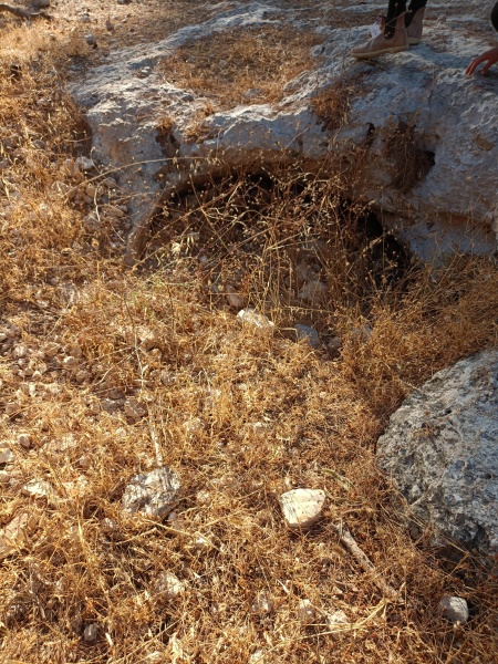קובץ:2022-07-19T18 27 01.319880643075.jpg