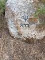 תמונה ממוזערת לגרסה מתאריך 15:42, 19 ביולי 2022
