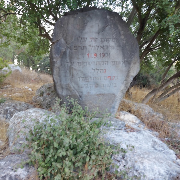 קובץ:2022-07-23T07 02 32.605216889626.jpg