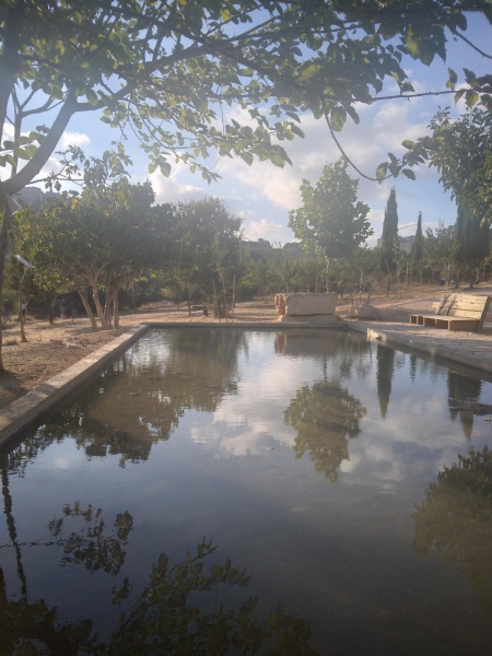 קובץ:2022-08-14T18 18 05.314127586532.jpg