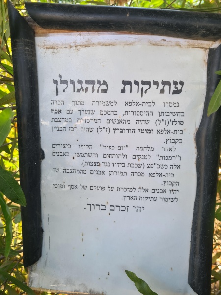 קובץ:2022-08-20T14 17 41.239166993828.jpg