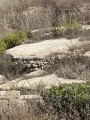 תמונה ממוזערת לגרסה מתאריך 12:48, 22 באוגוסט 2022