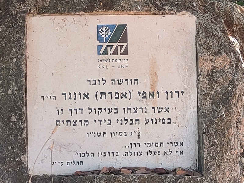 קובץ:2022-09-12T14 08 58.377196322502.jpg