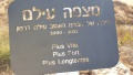 תמונה ממוזערת לגרסה מתאריך 11:46, 28 בספטמבר 2022