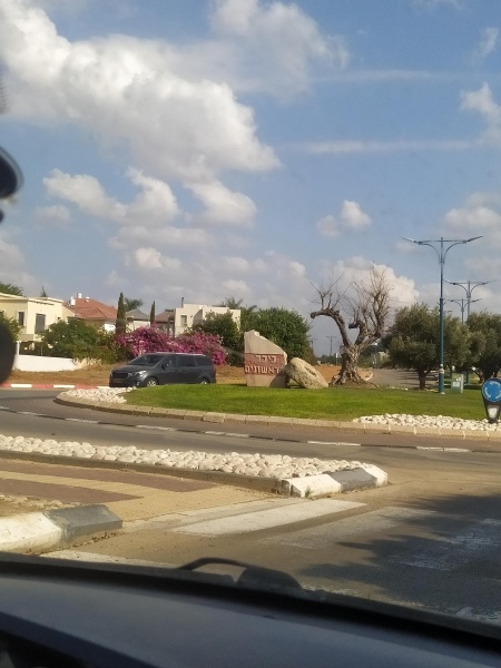 קובץ:2022-10-08T14 46 18.089969799689.jpg