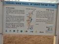 תמונה ממוזערת לגרסה מתאריך 04:48, 26 באוקטובר 2022