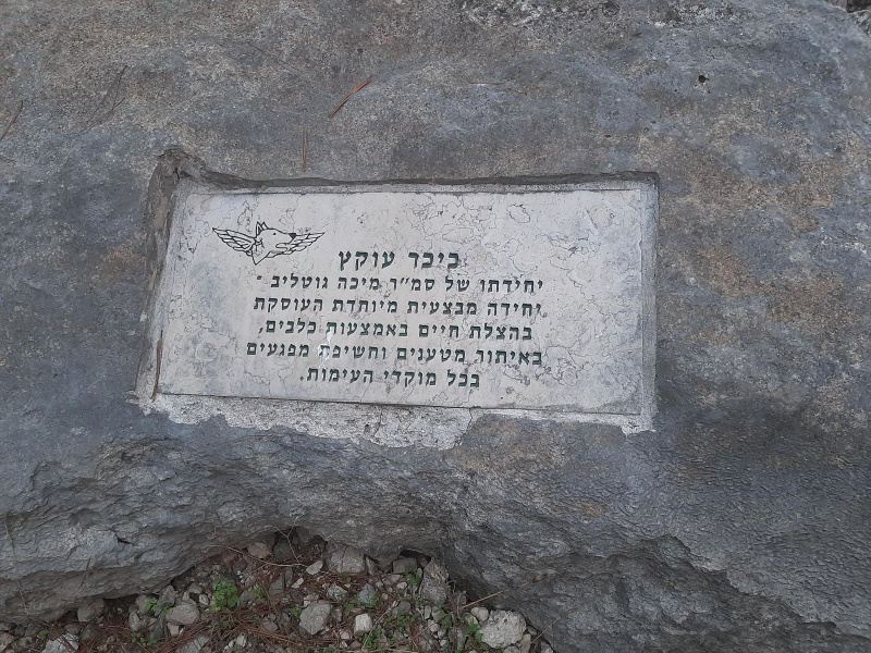 קובץ:2022-12-07T19 51 02.422127222254.jpg