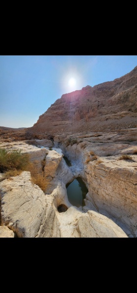 קובץ:2022-12-08T21 22 27.125425127468.jpg