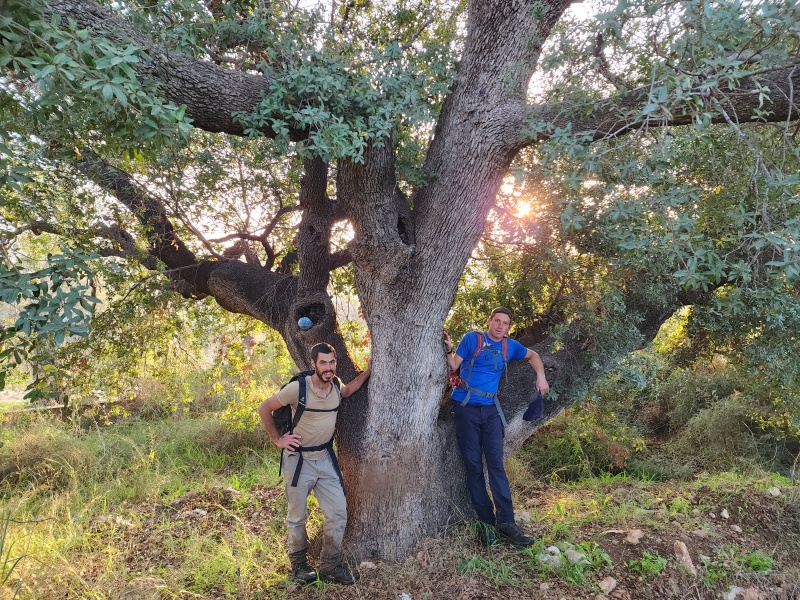 קובץ:2022-12-09T07 20 22.338174949527.jpg