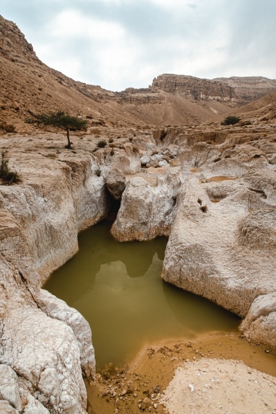 קובץ:2022-12-10T10 41 02.140189686689.jpg