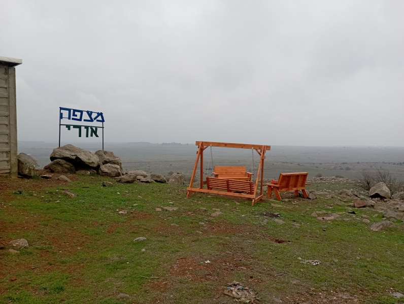 קובץ:2022-12-25T15 00 36.7869332931.jpg