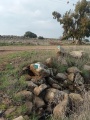 תמונה ממוזערת לגרסה מתאריך 05:55, 16 ביוני 2024