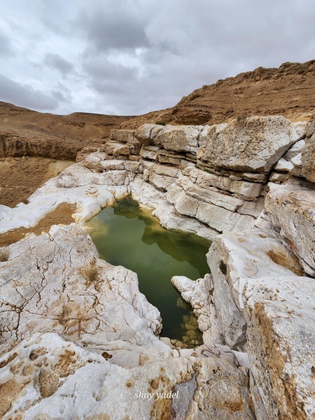 קובץ:2023-01-09T09 46 54.189274384728.jpg