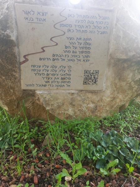 קובץ:2023-01-09T12 33 47.614672173614.jpg