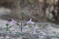 תמונה ממוזערת לגרסה מתאריך 22:00, 12 בינואר 2023