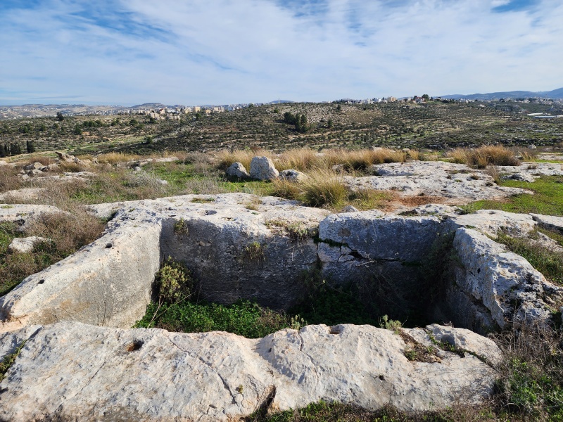 קובץ:2023-01-13T09 44 34.517904785951.jpg