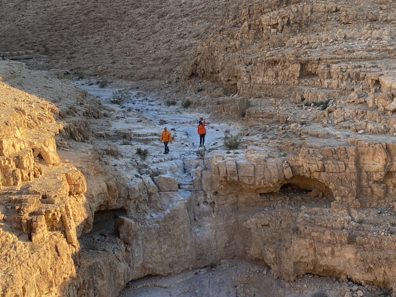 קובץ:2023-01-20T07 29 31.92283894489.jpg