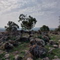 תמונה ממוזערת לגרסה מתאריך 11:03, 28 בינואר 2023