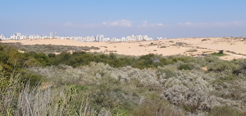 קובץ:2023-02-14T13 43 38.924338189092.jpg