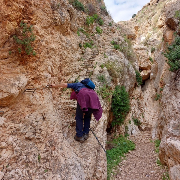 קובץ:2023-02-16T11 37 04.000077838858.jpg