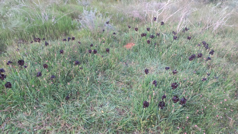 קובץ:2023-02-22T16 53 54.095436835534.jpg