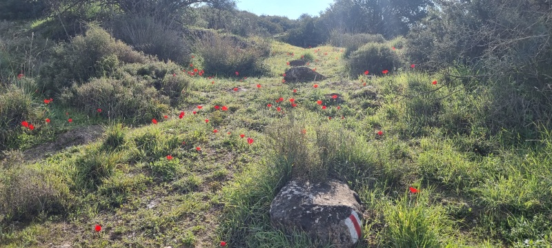 קובץ:2023-02-24T09 12 28.16305822440.jpg