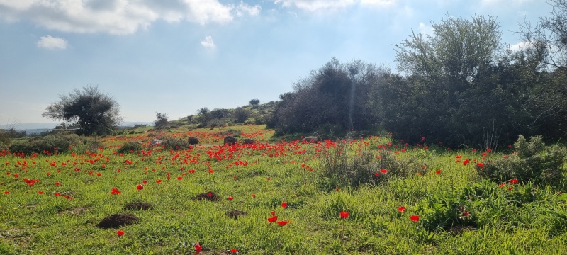 קובץ:2023-02-24T09 18 23.498328430613.jpg