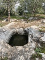 תמונה ממוזערת לגרסה מתאריך 12:24, 24 בפברואר 2023