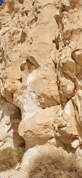 קובץ:2023-03-03T10 46 27.605616105316.jpg