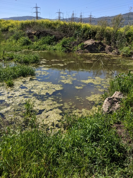 קובץ:2023-03-11T11 02 52.074057618633.jpg