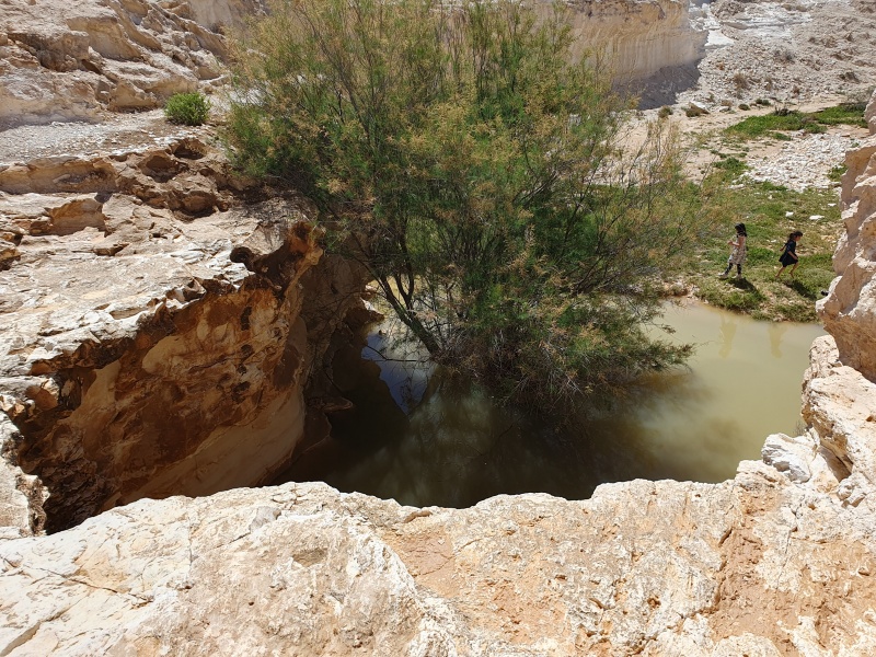 קובץ:2023-03-17T19 22 18.928506303763.jpg