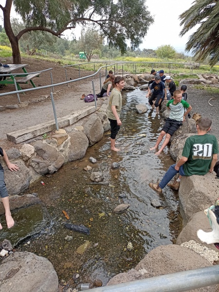 קובץ:2023-03-22T14 30 24.676477774920.jpg