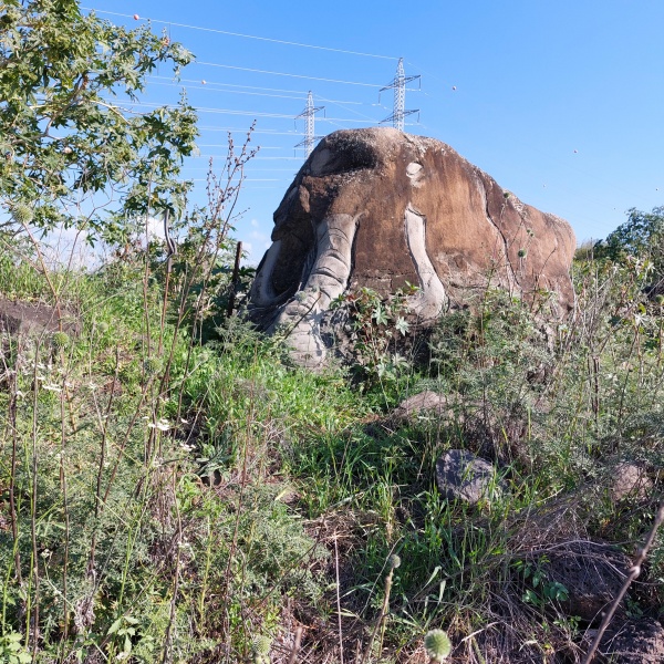 קובץ:2023-04-01T08 37 24.575121495259.jpg