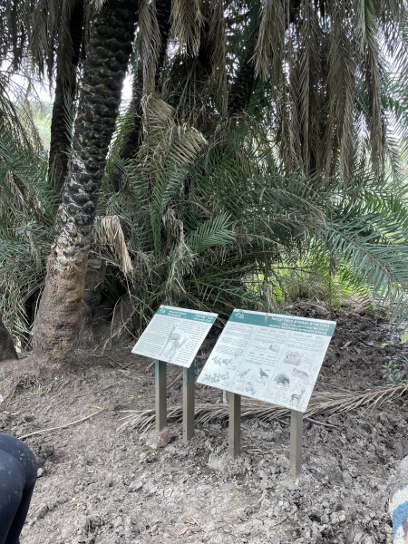 קובץ:2023-04-07T12 14 21.905080339211.jpg