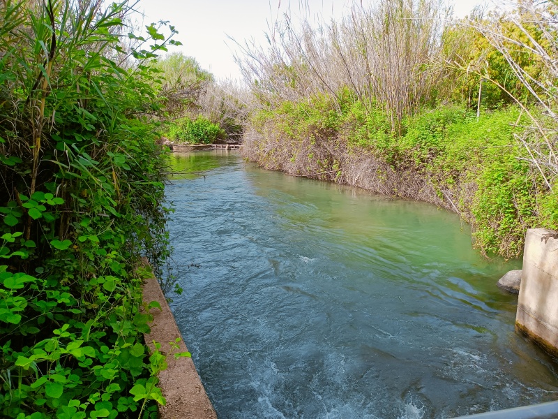 קובץ:2023-04-10T09 36 10.981823783997.jpg