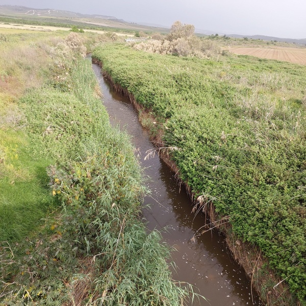 קובץ:2023-04-10T16 54 41.781968461975.jpg