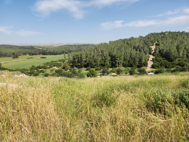 קובץ:2023-04-15T15 03 55.115904464293.jpg