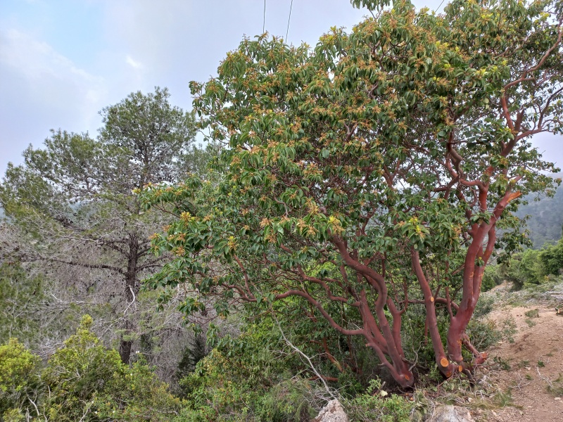 קובץ:2023-04-20T07 51 09.977256894632.jpg