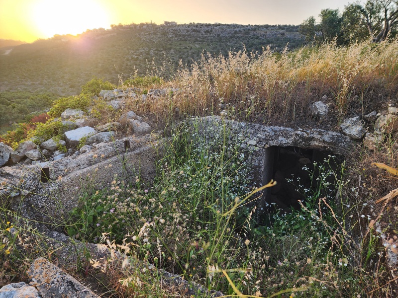 קובץ:2023-05-05T06 12 19.625922714018.jpg