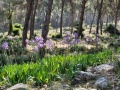 תמונה ממוזערת לגרסה מתאריך 06:40, 10 במאי 2023